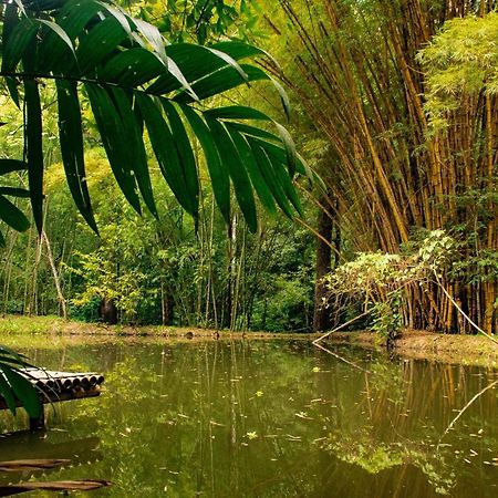 Reserva Biologica Caoba Bonda Esterno foto