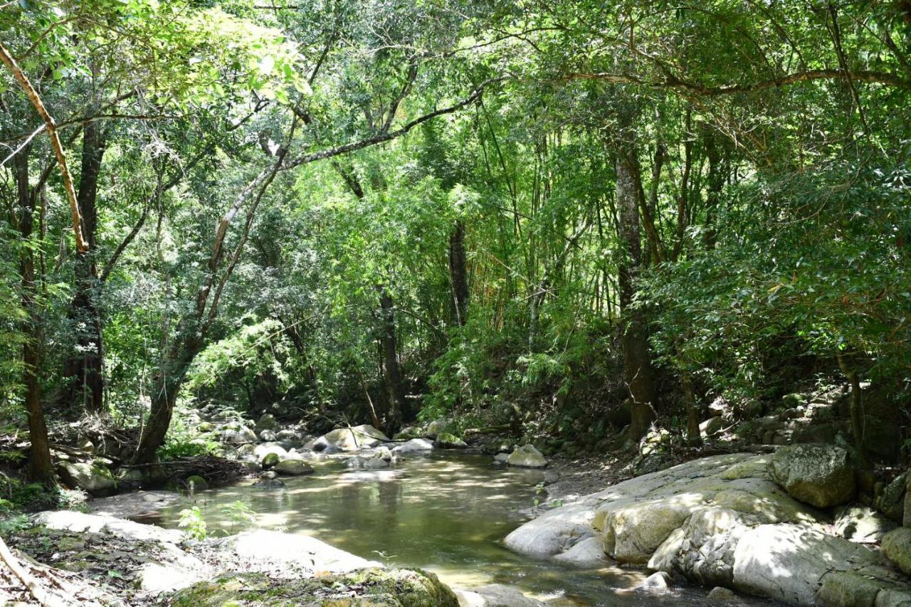 Reserva Biologica Caoba Bonda Esterno foto